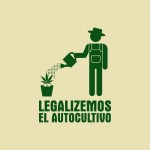 Autocultivo de Cannabis en Chile: ¿Largo viaje del día hacia la noche?