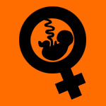 Despenalización del aborto en Chile: Una asignatura pendiente.